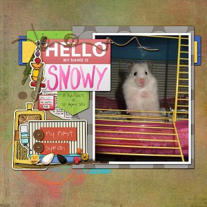 Snowy