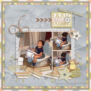 David -Potty Chair