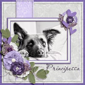 Principessa