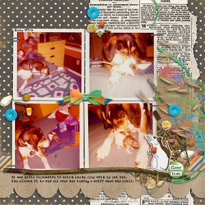 Lucky and the pet rat 2 1970's