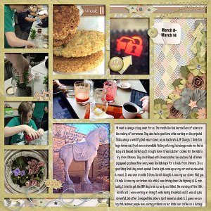 P52 Week 11