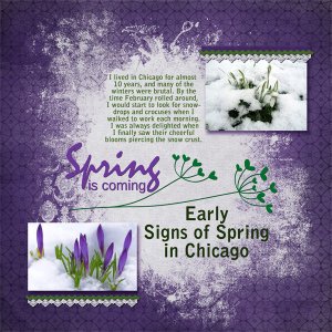 Early signs of spring in Chicago