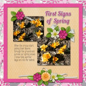 first-signs-of-spring