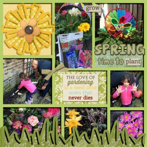 Time to plant