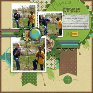 Scouts- plant a tree