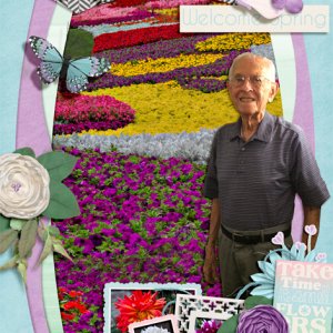 Poppy spring shadowbox