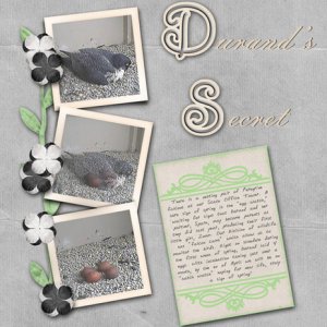 Durand's Secret