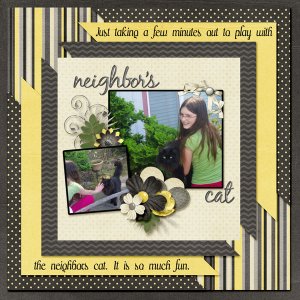 6-Maren_cat_2013_small