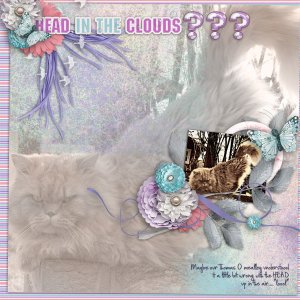 HEAD in the clouds?