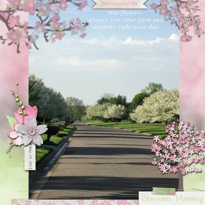 This beautiful day