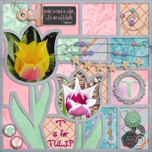 T is for TULIP