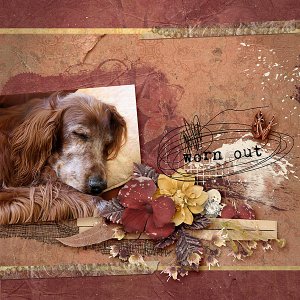Worn Out