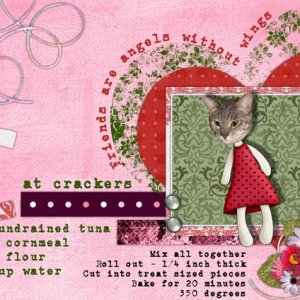 cat cracker