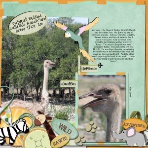 Natural Bridge Wildlife Zoo