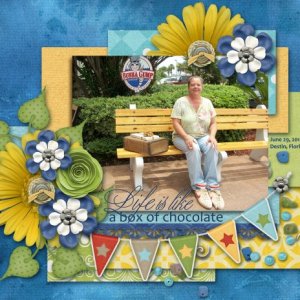 Life is like a Box of Chocolates