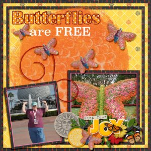 Butterfly morph