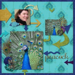 Peacock make-over