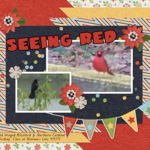 Seeing Red