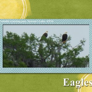 Eagles