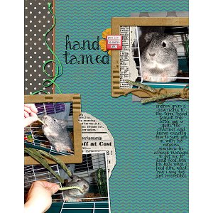 Hand-Tamed