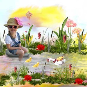 la mare aux canards