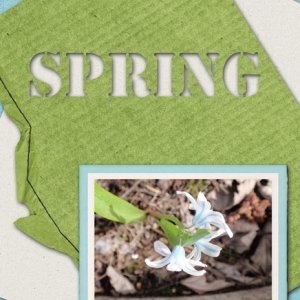 Spring