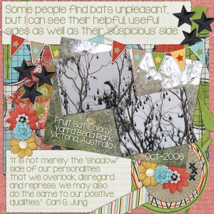 Fruit Bats And Their Shadows