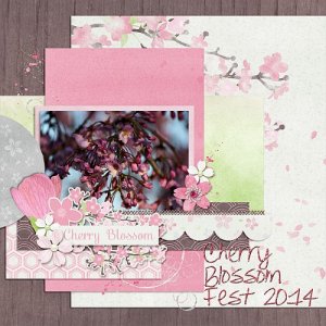Cherry Blossom Fest