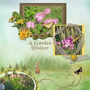 A Garden Visitor