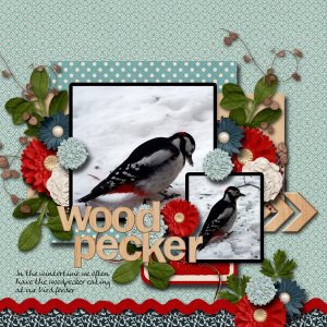 Woodpecker