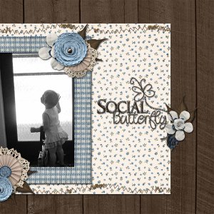 Social Butterfly