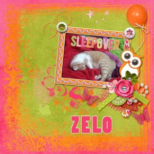 zelo2