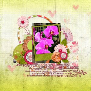 Spring Flowers Bloom