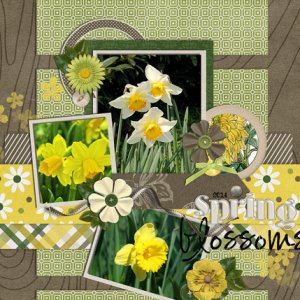 spring