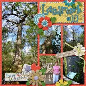 Corkscrew Swamp