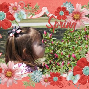Spring Flowers 2013