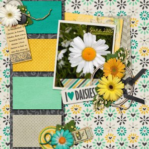 I love Daisies
