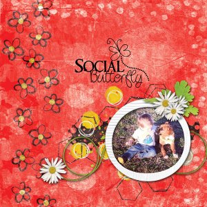 Social Butterfly