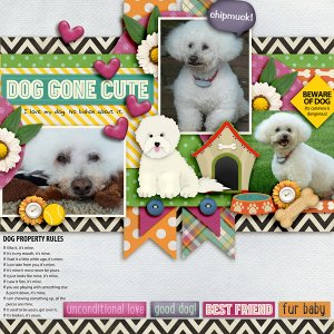 Dog Gone Cute