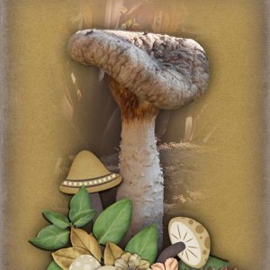 Mighty Mushroom
