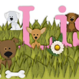 May Siggie