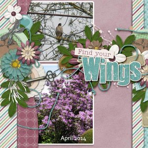 find-Your-Wings1