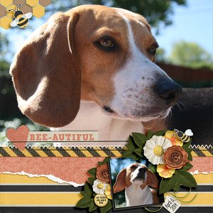 bee-autiful