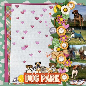 dog park Friday