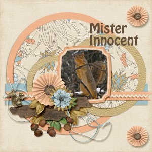 Mr Innocent