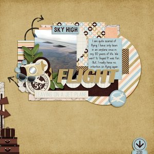 Flight