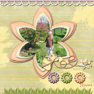 May Flowers
