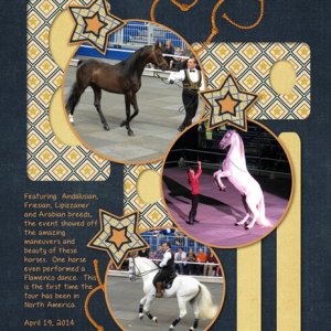 Gala of the Royal Horses - 2