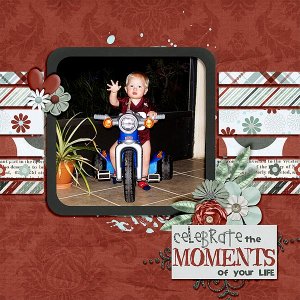 Cherish the Moment