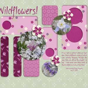 Wildflowers